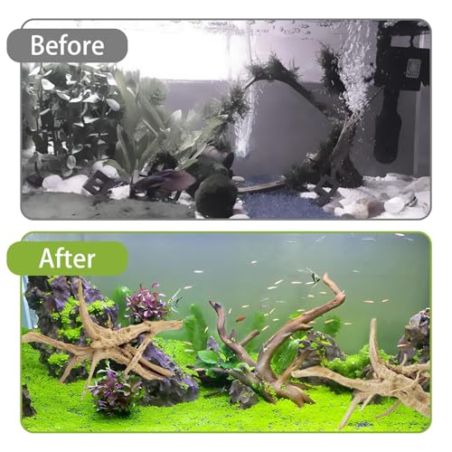 Tfwadmx Aquarium Driftwood, 7-11" Spider Wood Sinkable Driftwood for Fish Tank Decorations Natural Branches for Reptile, Assorted Spider Wood Branch Pack of 3 - size: Spiderwood（7-11 inch pack of 3）