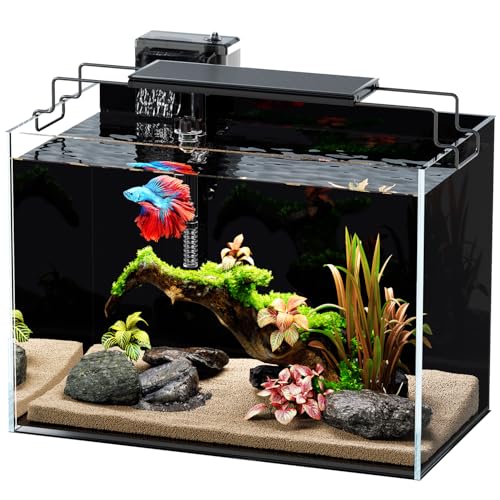 5 Gallon Fish Tank Aquarium Kit with HOB Filter, LED Light with Timer, Lid, Siphon Vacuum Cleaner, Self Cleaning Glass Rimless Betta Tank - size: 5 Gallon