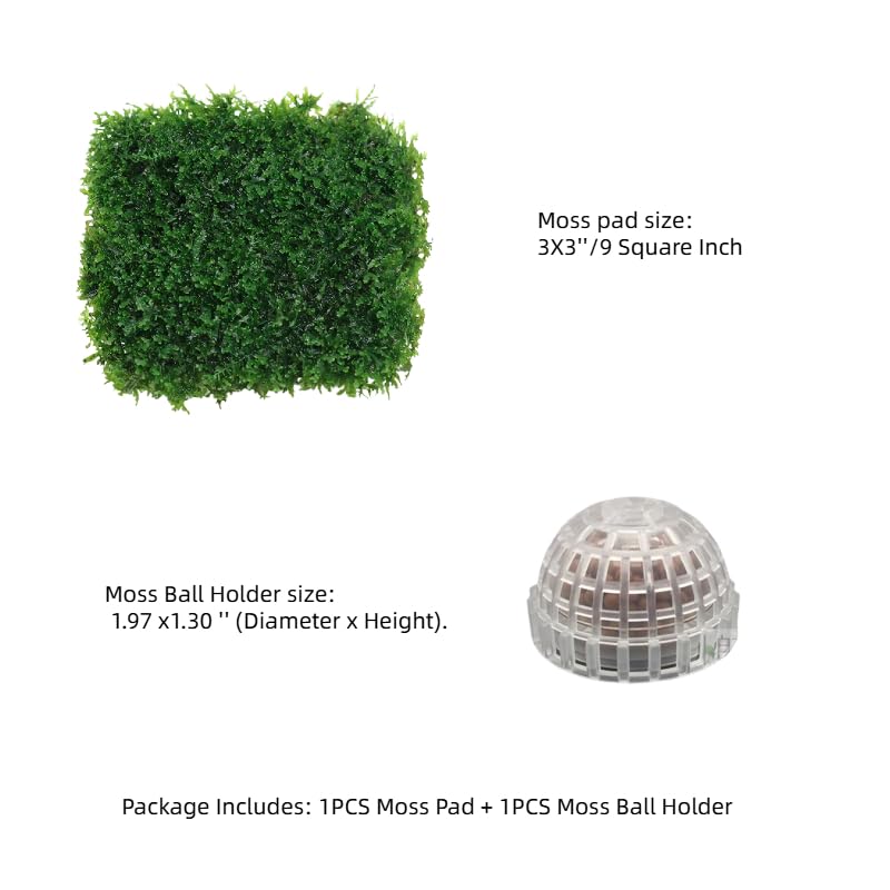 Java Moss Live Plant for Aquarium, 10 Square Inches Coral, with 1x Plastic Ball Holder, Freshwater Live Aquarium Plants Shaping Filter