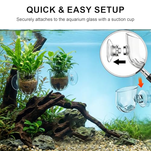 6 Pcs Aquarium Plant Holder, Suction Cup Fish Tank Plant, Clear Shower Aquatic Plant Pots