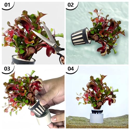 Aquatic Plants Fixed Set 10pcs Aquarium Plant Weights Pot and 10pcs Planting Cup with 10pcs Fixing Cottons Aquarium Accessories (30)