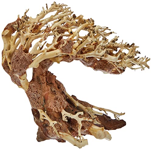 Amtra - Oriental Wind 3 Wood, Handmade, for Aquarium, 23X10X17 CM - color: 3 Small, size: 21 g