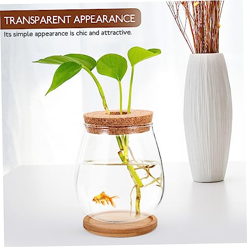 Milisten Hydroponic Glass Planter Vase with Tray 4.52X4.52X4.92In Transparent Diy Micro Landscape Bottle for Indoor Outdoor Plant Display and Home Garden Decoration