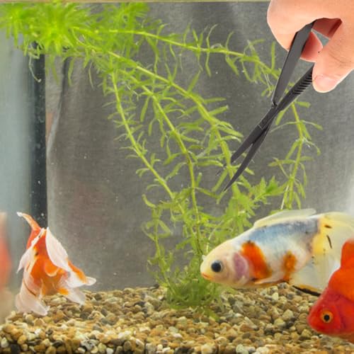 POPETPOP 6.1 Inch Curved Aquarium Scissors Water Grass Shears Spring-Loaded Precision Pinch Action for Aquascaping and Small Plant Trimming