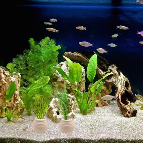 4 Pack Aquatic Plants Fixed Ring Set, Anti-Floating Ceramic Planter for Fixing Water Plants, Aquarium Decoration Fish Tank Accessories Landscaping Ornaments, White - color: White