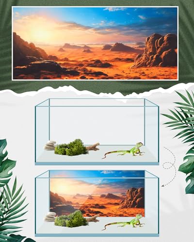 Breling 4 Pcs 24 x 11.8 Inch Reptile Habitat Background with Nano Glue Gobi Sun Cactus Stone and Green Tree Fern Stream Terrarium Background Polyester Durable Aquarium Accessories - color: Style1, size: 24 x 11.8 Inch