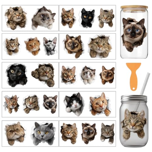 arricraft 10 Sheets Ripped Cat Theme UV DTF Cup Wrap for 16OZ Glass, Fun Cats Cute Kittens Rub on Decals PVC Transfer Stickers for DIY Cups Wood Funiture 24x11cm/9.4x4.3inch - style: Ripped Cat Theme