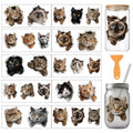 arricraft 10 Sheets Ripped Cat Theme UV DTF Cup Wrap for 16OZ Glass, Fun Cats Cute Kittens Rub on Decals PVC Transfer Stickers for DIY Cups Wood Funiture 24x11cm/9.4x4.3inch - style: Ripped Cat Theme