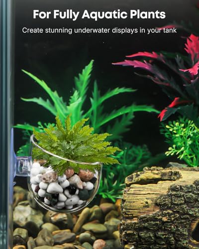 Pawfly Aquarium Plant Holder for Fish Tanks, Clear Plastic Fish Tank Plant Holder, Aquarium Planter Cup with Suction Cup, Fish Tank Plant Pot for Aquascape Decoration, Red Worm Fish Feeder - size: 1 Pack