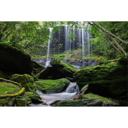 Waterfall Aquarium Background Jungle Forest Stream Landscape Fish Tank Backgrounds Tropical Plants Rocks Lush Moss Reptile Tank Backgrounds Jungle Rainforest Reptile Enclosure Backgrounds 24x12in - color: Moss_Green, size: 24(W)x12(H)inches/ 60(W)*30cm(H)