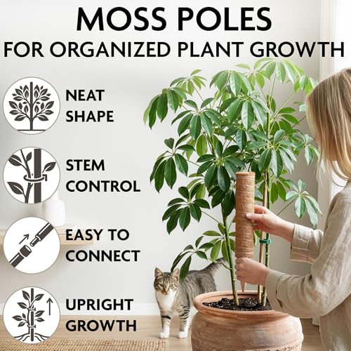 2 Pcs Moss Sticks for Indoor Plants Climbing with Coconut Fiber and Plant Tie Tape - 15.75 Inch Stackable Small Moss Pole for Monstera, Pothos, Philodendron, Money Plants & Indoor Houseplant Vines