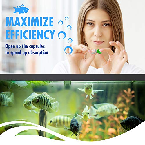 Bio Capsules Fish Tank Water Cleaner - size: FTWC
