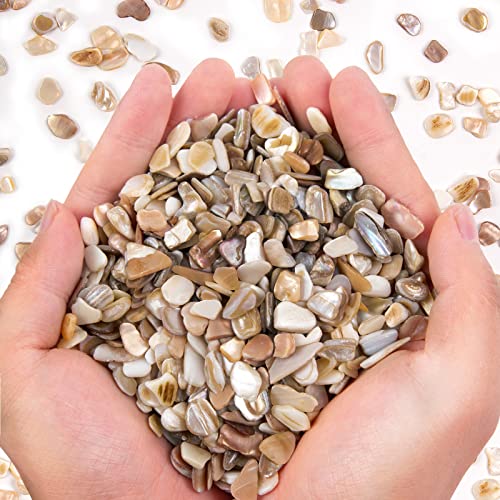 QICQDRAM Crushed Shells for Crafts About 2LB (900g/31.74oz) Small Natural Crushed Shells Bulk for Crafts DIY Beaching Wedding Decoration Vase Fillers - color: Natural Color, size: 2LB (900g/31.74oz)