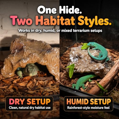 Reptile Hide Rock Cave, Medium Resin Corner Hideout for Growing Leopard Geckos, Juvenile Snakes, Small to Medium-Sized Lizards & Terrestrial Invertebrates, Natural Terrarium Tank Decor