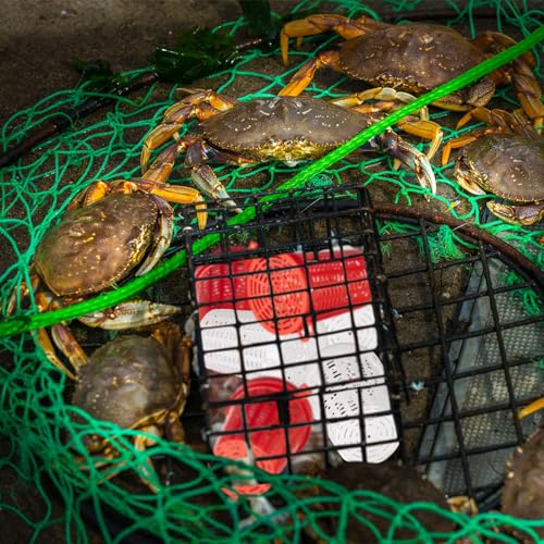 20 Pcs Fishing Bait Cage Trap Fish Lure Feeder Basket Holder Plastic Bait Bucket for Crawfish Minnow Shrimp Earthworm Crab Carp Catfish Traps Cast Net