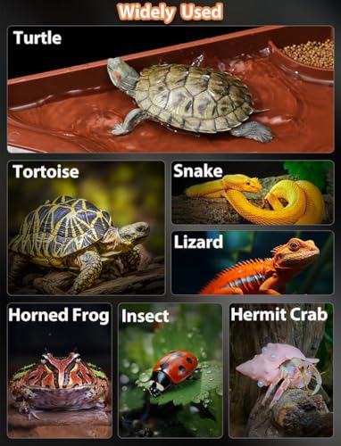 Tortoise Water Bowl with Ramp, 3PCS Leaf Reptile Food Water Bowl Turtle Pool Reptile Water Dish Tortoise Bathing Pool Turtle Soaking Dish Aquarium Habitat Accessories Small - size: Small