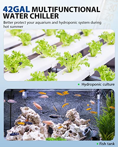 BAOSHISHAN 1/10 HP Aquarium Chiller 42 Gallon 160L Water Cooling System | Quiet Compressor Refrigeration, Includes Pump and Tubing, 110V, Ideal for Hydroponics, Axolotl and Reef Tanks - size: 160L