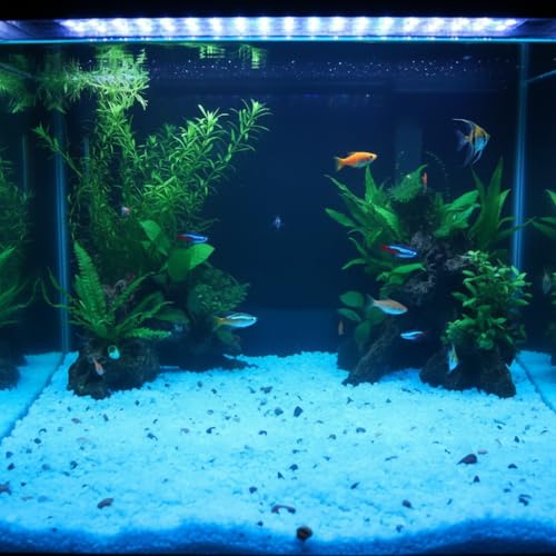 Shiny Stone Glow in The Dark Aquarium Neon Gravel Sand, Decorative Rocks for Fish Tank and Fairy Garden, Home Dec,305g/0.67lbs (3-5mm, Sky Blue) - color: Sky Blue, size: 3-5mm