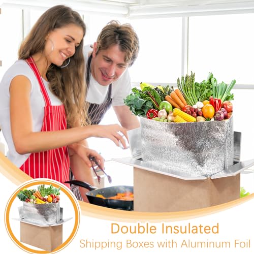 Double Insulated Shipping Boxes,10 Pack Cold Shipping Boxes with Aluminum Foil Insulated Bag,Small Mailing Box Styrofoam Box for Shipping Frozen Food,Mailing,Packing,Moving,9" x 6" x 5"