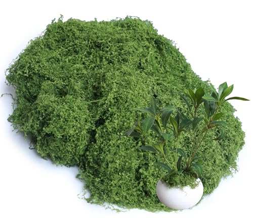 5.3oz Green Fake Moss Artificial Floral Moss Faux Plant for DIY Crafts Fairy Garden Pot Filler Vase Greenery Decorating Project Indoor Model Making Walls Glass Decor Forlaoers