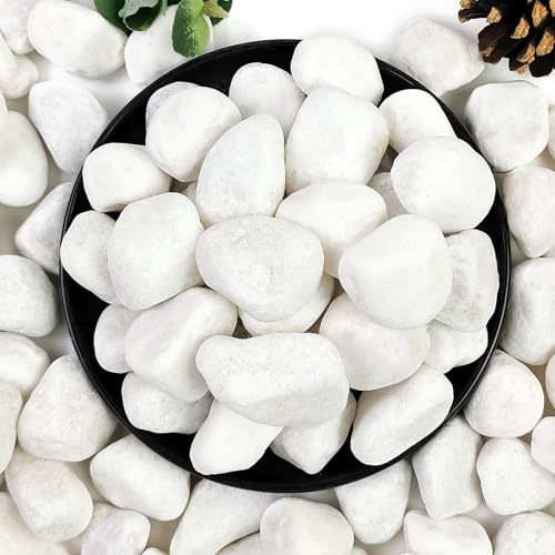 YISZM 10lb White River Rocks, 1-2 Inch Natural Pebbles for Indoor Plants, Snow White Decorative Stones, Ideal for Fish Tank, Vases, Crafting, Home Decor and Garden Landscaping Rocks - size: 10 Pounds, style: 1-2 Inch