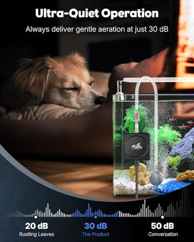 Pawfly Mini Aquarium Air Pump, Ultra Quiet Oxygen Aerator Kit for 1-15 Gallon Fish Tanks with Air Tubing, Air Stone, Check Valve & Suction Cups - size: Air Pump Set