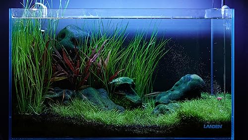 LANDEN AERVITA CO2 Diffuser Kits, Nano-Sized Ceramic diffusing disc Professional Aquarium CO2 High-Efficiency S Size with Suction Cups and Silicone air Hose for Aquarium Tank 10-30gal (40-110L) - size: S-13mm