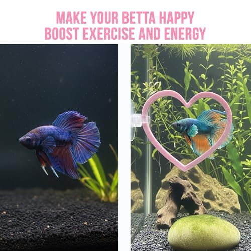 Heart Swim Ring Decor for Betta Fish, Interactive Exercise Toy for Aquariums Betta Ring, 2 Pack Pink