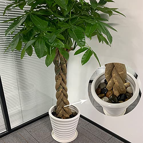 FANTIAN 40 lbs Large River Rocks for Outdoor Landscaping, 2-3 Inch Natural Decorative Pebbles for Potted Plants Aquarium Fountain Garden Rocks and Yard Paving Stones - size: 2-3 Inch, style: 40 Pounds