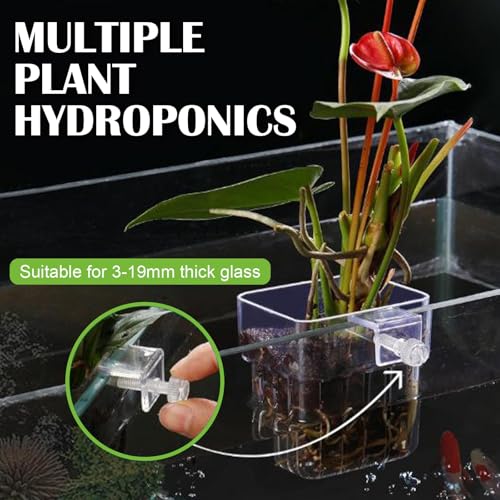 12 Pack Top Hanging Fish Tank Plant Pot Clear Aquarium Plant Holder with Hook Aquatic Plant Cup Holder Aquarium Aquatic P-lant Pot Water Landscape Decoration for P-lant Water Feature Decoration