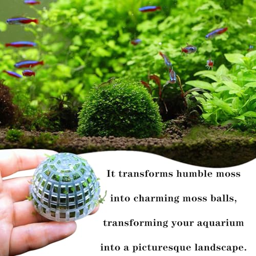 2 Pack Aquarium Moss Ball Holder Professional Plastic Moss Plant Holder with Hollow-Designed for Fish Tank Accessories