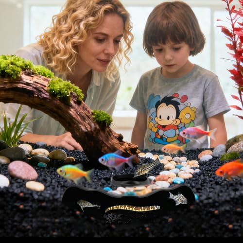 Aquarium Underground Corner Cave Natural Curve, Viewing Fish & Shrimp Tunnel Hideaway Corner, Under Gravel Viewing Tunnel Fish Cave Tank Decoration for Aquarium Tanks Shelter