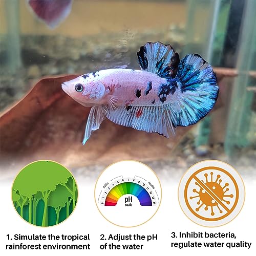 Sukh 30 Indian Almond Leaves for Betta - Large Catappa Aquariums Almond Water Conditioner Aquarium Shrimp Tank Betta Tank Decorations Leaf Hammock Fish Tank Accessories
