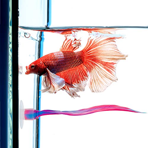 WILLBOND 2 Pcs Pink Silicone Betta Fish Bed Leaf Hammock Betta Fish Tank Accessories Decorations for Aquarium Ornaments, Practical Resting Spot, Comfortable and Safe - color: Pink