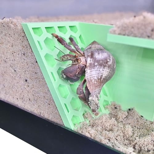 Hermit Crab Underground Tunnel Cave Corner | Hermit Crab Climbing Tank Decor Hide Hideout | Enrichment Habitat Hideaway Decoration Accessories Supplies Toys Ornaments (Seafoam Green) - color: Seafoam Green
