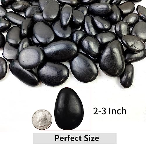 YISZM 20lbs Black Pebbles for Landscaping, 2-3 Inch High Polished Natural Large River Rocks for Plants, Decorative Stones Vase Filler Fish Tank Aquariums Garden Outdoor and Indoor DIY - color: Black, size: 20 Pounds