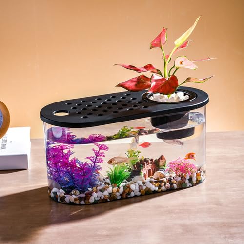 Small Turtle Tank Kit, Reptile Aquarium with Basking Platform, Decor Stones & Water Grass – Habitat for Turtles, Hermit Crabs, Fish – Ideal for Home or Office (12" x 6" x 12") - color: Black