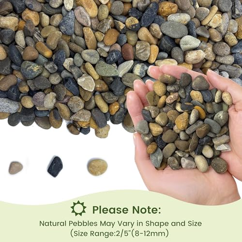 SIDONG 20LB Natural Aquarium Gravel, Small River Rocks for Fish Tank, Garden & Vase Decor - 2/5 Inch Pea Gravel, 8-12mm Polished Stones for Landscaping, Potted Plants, Terrarium - color: 20lb, size: 8-12mm