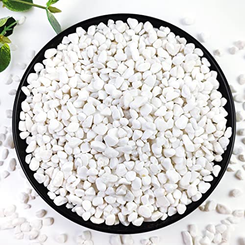 YISZM 10LB Succulent and Cactus Gravel, 1/5 Inch White Natural Decorative Polished Pebbles for Landscaping, River Rocks for Plants, Vases, Aquariums, Terrarium and Outdoor Gardening - color: White, size: 10 Pounds