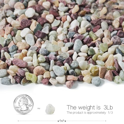3Lb Pebbles for Indoor Plants,River Rocks for Succulent Plants,Aquarium Gravel,Decorative Stones Bonsai Garden Pebbles,Aquarium Rocks for Landscaping,Plants,Vase Fillers (Multicolor) - color: Multicolor