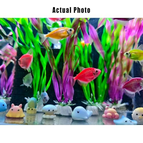15 Pcs Mini Ocean Creatures Decor Set - Artificial Fish, Turtle, Octopus & Crab Polyresin Aquarium Ornaments for Fish Tanks, Tank Decorations