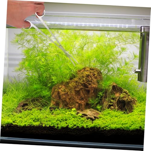 Totority 1set Aquascaping Tools Kit for Aquariums Includes Scissors Tweezers and Spatula for Planting and Maintaining Tanks