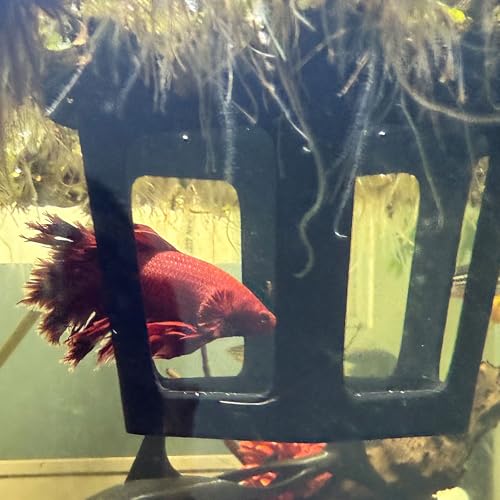 HOZOE Aquarium Betta Hammock, Betta Hideout & Cave, Floating Feeding Ring for Fish and Shrimp, Aquarium Floating Decoration Accessory (Black) - color: Black