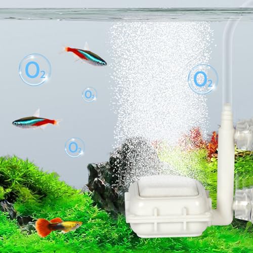 Aquarium Air Stone Disc, Tiny Fish Air Stone Ultra-High Dissolved Bubbler Airstone Bucket Diffuser Makes Super Tiny for Aquarium Fish and Small - color: White, size: round