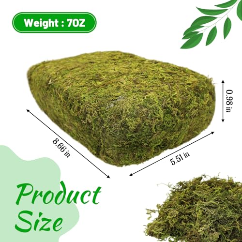 Riare 7OZ Artificial Fake Moss for Fake Plants Indoor- Premium Faux Craft Moss for Potted Plant, Fresh Forest Green Moss for Hamsters Micro-Landscape Terrariums Centerpieces Decor - color: 7 Oz