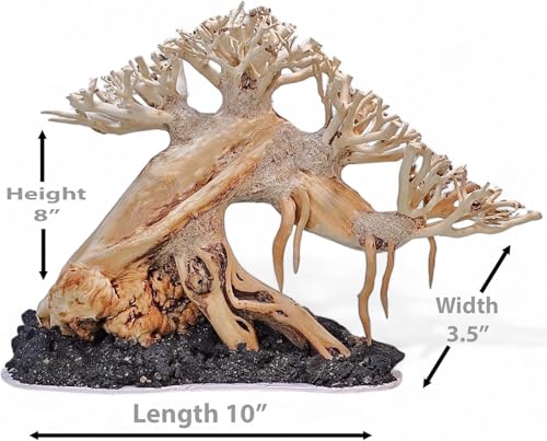 Azil Aquascape Bonsai Driftwood Tree 10” – Premium Natural Aquarium Decor for Fish Tanks, Freshwater Aquariums, Hardscape & Planted Tanks - size: bonsai 10"