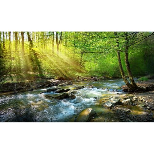 Forest Aquarium Background Flowing Stream Sunbeams Fish Tank Background Lush Green Trees Fantastic Natural View Reptile Tank Backgrounds Deep Rainforest Jungle Reptile Enclosure Backgrounds 24x12in - color: Green_Orange, size: 24(W)x12(H)inches/ 60(W)*30c