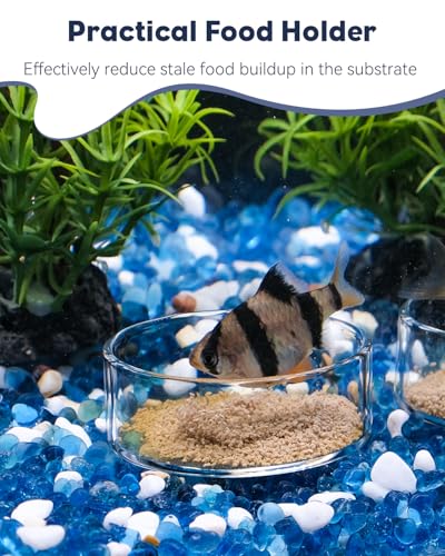 Pawfly 3 Pcs Shrimp Feeding Dish, Clear Glass Aquarium Shrimp Feeder, Transparent Food Tray for Fish Tanks and Terrariums