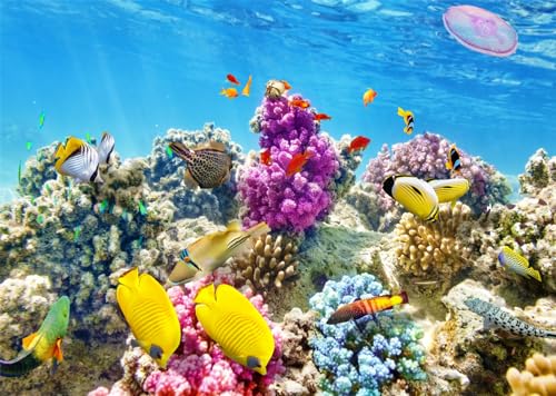 BELECO 6x4ft Fabric Underwater World Backdrop Undersea Tropical Fish Coral Reef Blue Deep Sea Aquarium Background Under The Sea Party Decorations Baby Shower Birthday Shoot Photo Props - size: 6x4FT
