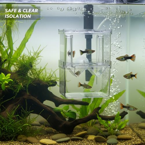 Clear PP Aquarium Isolation Box - Single Compartment Breeding & Separation Tank for Fry and Fish, 3.15 x 2.76 x 3.94 Inches